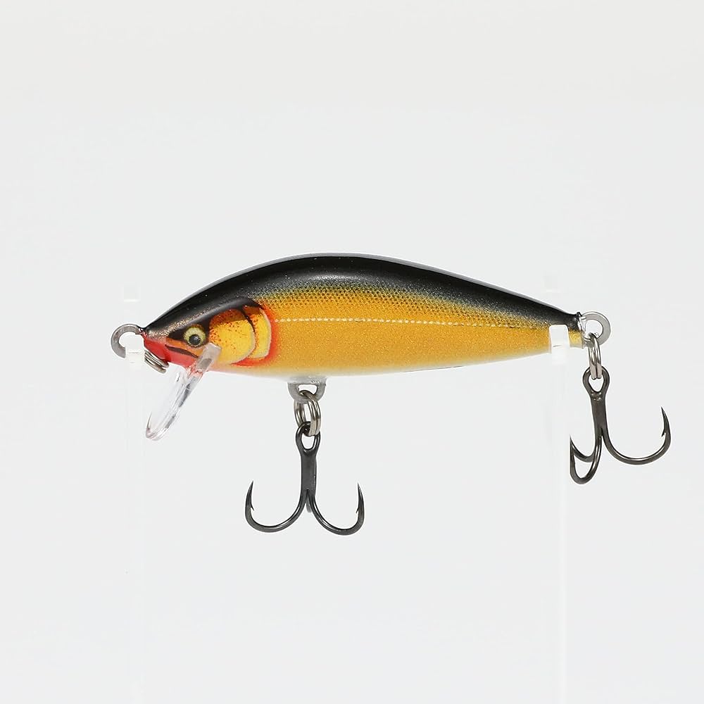 Amazon.com : Rapala Countdown Elite 55 Gilded Gold Shad